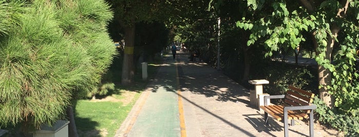 Keshavarz Boulevard | بلوار کشاورز is one of دویدن در میدان مین در تاریکی.