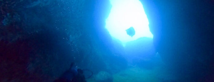 Anchor Bay Dive Site is one of Malta Dive Spots.