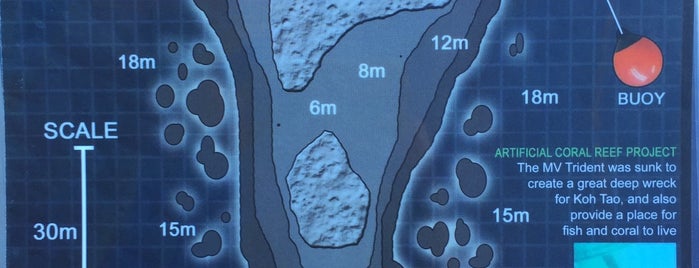 Shark Island (Dive Site) is one of Koh Tao Dive Spots.