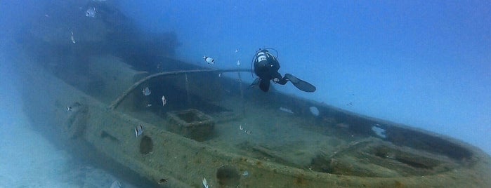 Rozi Wreck is one of Malta.