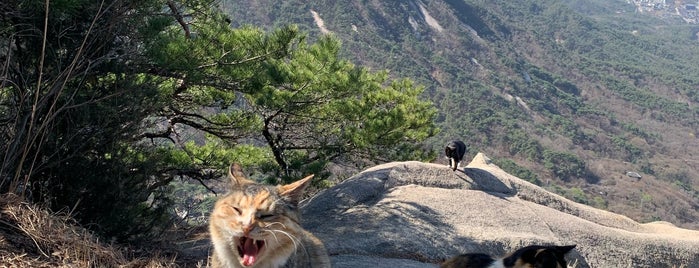 Bukhansan National Park is one of Заехать при случае.