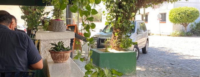 NOAH'S Cafe & Bar is one of Puerto Vallarta.
