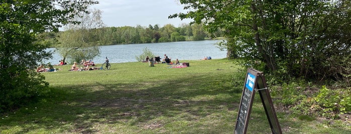 Feldmochinger See is one of Sunshine in Munich.