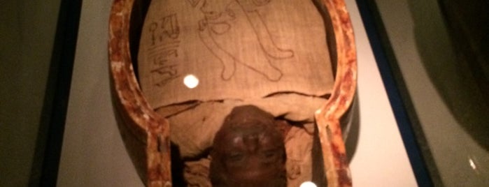 Mummification Museum is one of Let's discover Egypt in 7 days!.