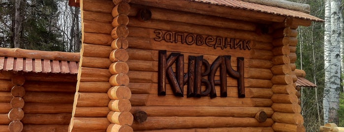 Заповедник «Кивач» is one of детям.