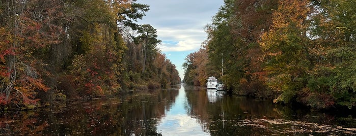 Dismal Swamp Canal is one of All for one, One for all!.