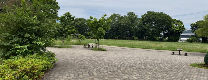 丸山城址公園 is one of 神奈川県の公園.