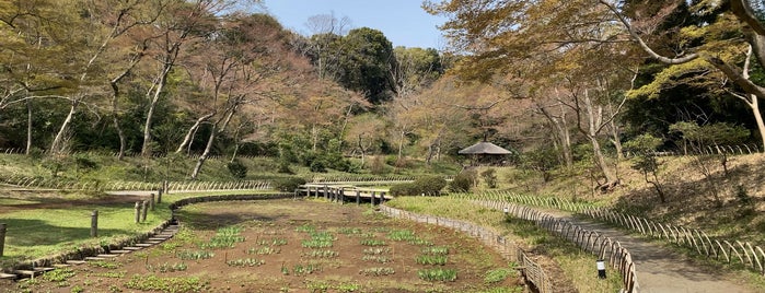 Iris Garden is one of 東京.
