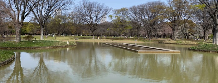 Yoyogi Park Fountain is one of Tokyo.