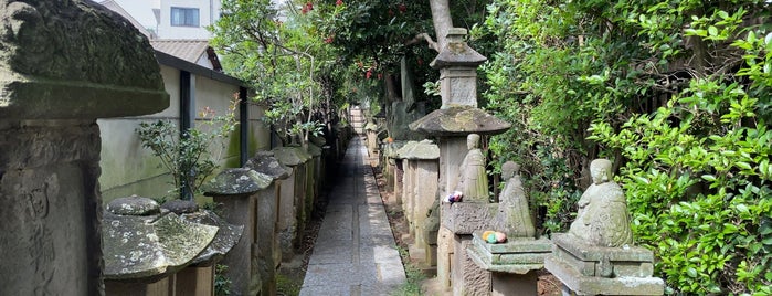 善養寺 is one of Shrines & Temples.