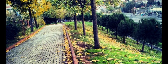 Sporcular Parkı is one of İstanbul'daki Park, Bahçe ve Korular.