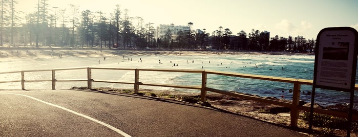 Manly Beach is one of Lieux qui ont plu à Yus.