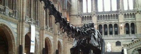 Museo de Historia Natural is one of London, UK.