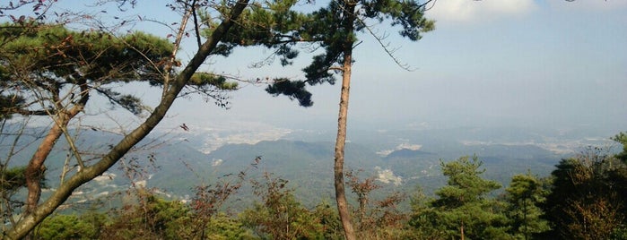 薬師鼻展望台 is one of 四国の酷道・険道・死道・淋道・窮道.