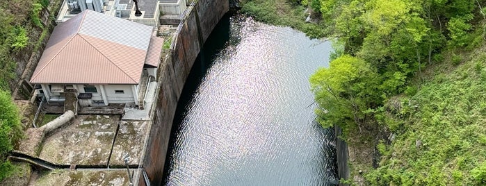 Fujiwara Dam is one of 日本のダム.