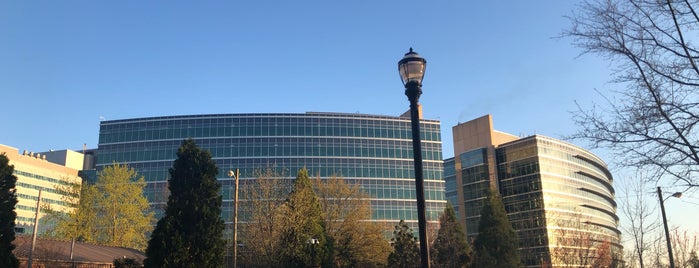 Centers For Disease Control And Prevention (CDC) is one of 2019 Atlanta.