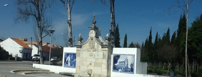 Parque da Cidade is one of VISITAR Agueda.