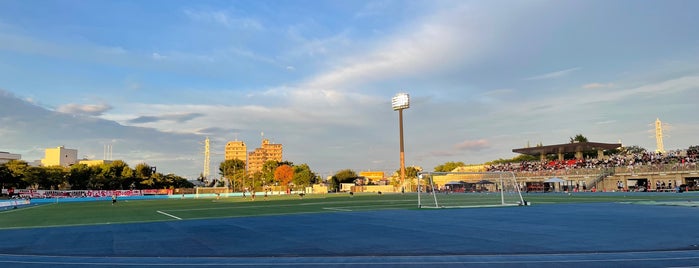葛飾区奥戸総合スポーツセンター陸上競技場 is one of アメリカンフットボール.