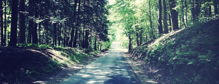 Yaddo is one of Saratoga Springs, NY.