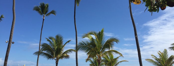 Paradisus Punta Cana Resort is one of Tempat yang Disukai Ron.