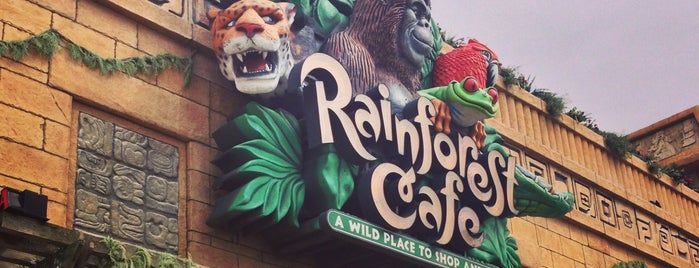 Rainforest Cafe is one of places to try.