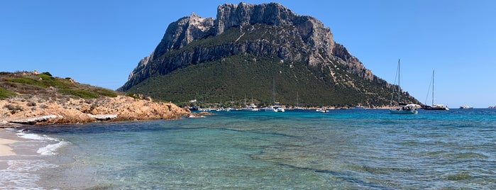 Insel Tavolara is one of sardinia.