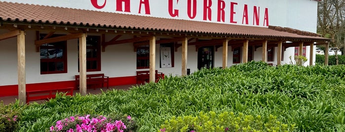 Chá Gorreana is one of Açores.