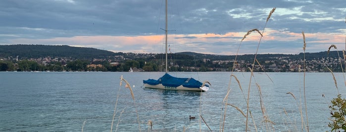 Saffa-Insel is one of Zürich.