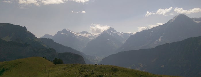 Alpengarten is one of Tempat yang Disukai Vangelis.
