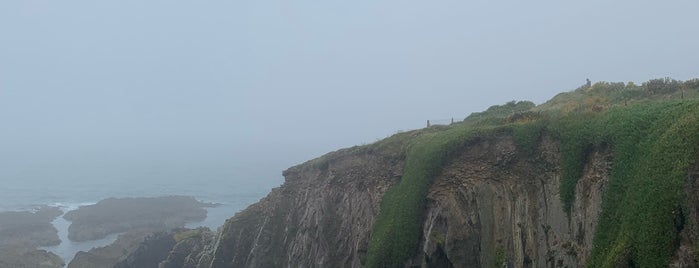 Ballycotton Cliff Walk is one of Ireland - 2.