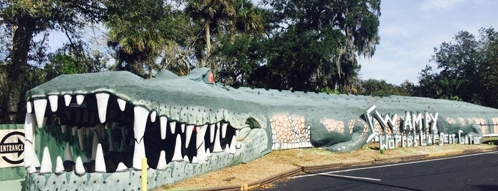 World's Largest Alligator is one of Lizzie : понравившиеся места.