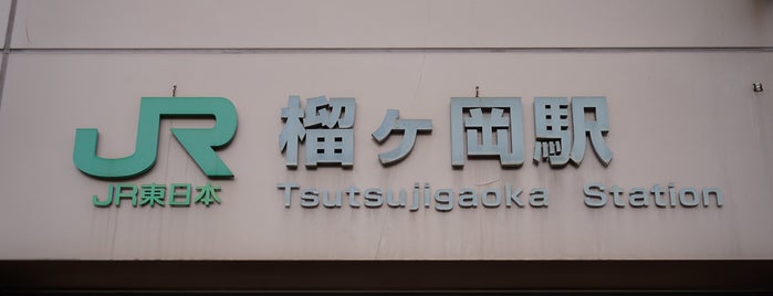 榴ヶ岡駅 is one of 交通機関.