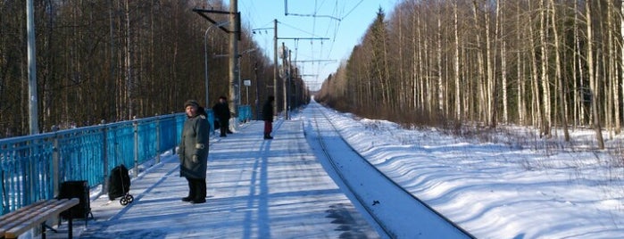 Ж/Д станция Ваганово is one of สถานที่ที่ Виталий ถูกใจ.