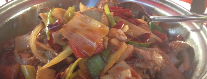 Han Dynasty is one of The 15 Best Places for Hotpot in Philadelphia.