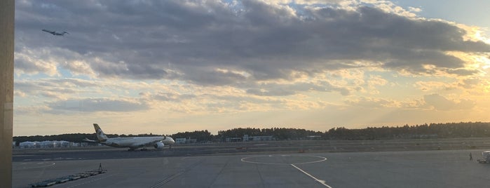 NRT - GATE 31 (Terminal 1) is one of 空港.