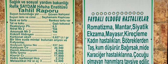 Seyhamamı is one of Yapıldı.