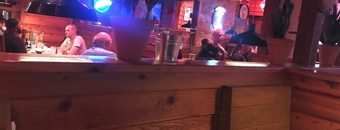Texas Roadhouse is one of Dinner.