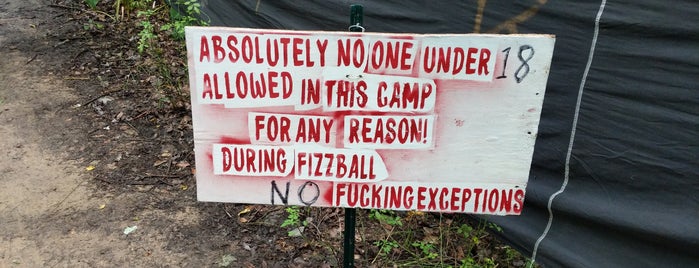 Rogue Fizzball Field is one of Pennsic.