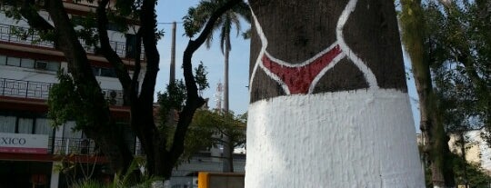 Árbol del bikini is one of David’s Liked Places.