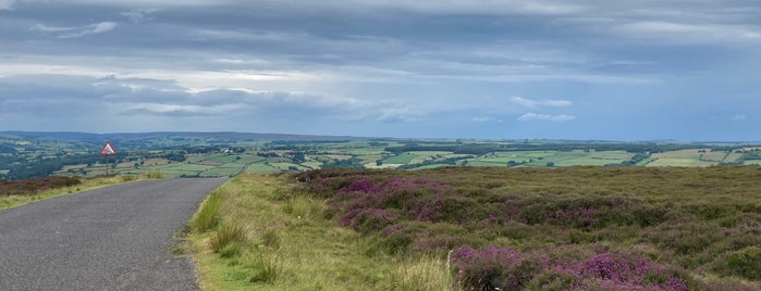 North York Moors National Park is one of Official National Parks.