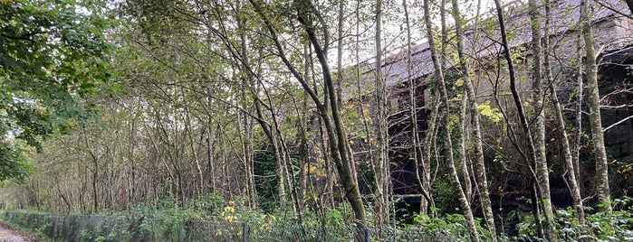 The Camel Trail - Poley's Bridge is one of Padstow.