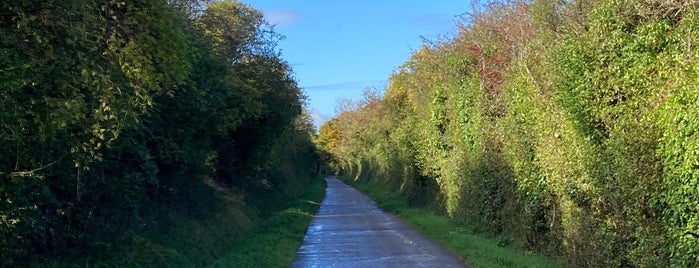 The Camel Trail is one of Cornwall.