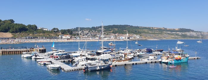 Lyme Regis Harbour is one of Tempat yang Disukai Elliott.