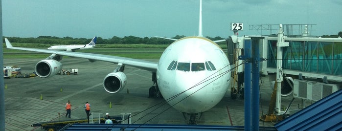 Aeropuerto Internacional de Tocumen (PTY) is one of Aeroportos.