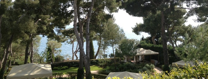 Grand Hotel du Cap-Ferrat is one of Cannes.