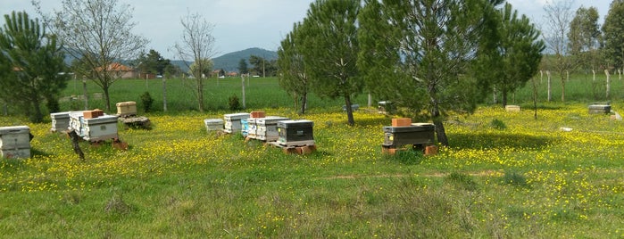 Yazla arı çiftliği is one of Muğlaa <3.