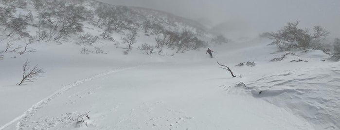 Mt. Yotei is one of Shiribeshi.