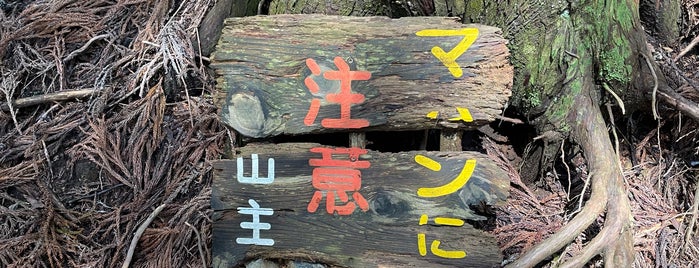 棒ノ嶺 (棒ノ折山) is one of 高尾 八王子 奥多摩.