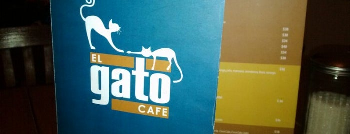 El Gato Café is one of Sitios agusto.