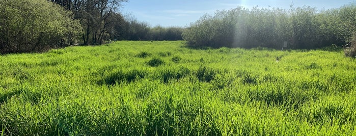 Jackson Frazier Wetlands is one of Ten Favorite Places in Corvallis, OR.